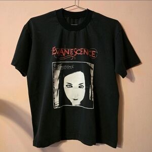 Vintage Evanescence "Fallen" Album Graphic T-SHIRT